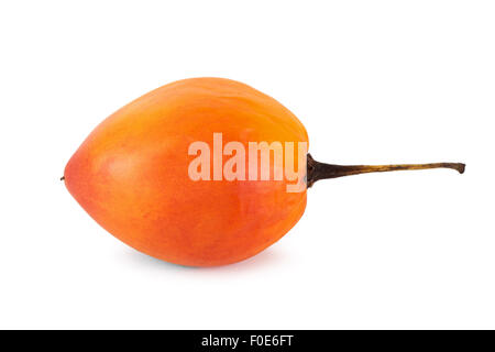 Seitlicher Blick auf eine ganze Tamarillo (auch bekannt als Baum Tomate (Solanum Betaceum)), isoliert auf weißem Hintergrund. Stockfoto