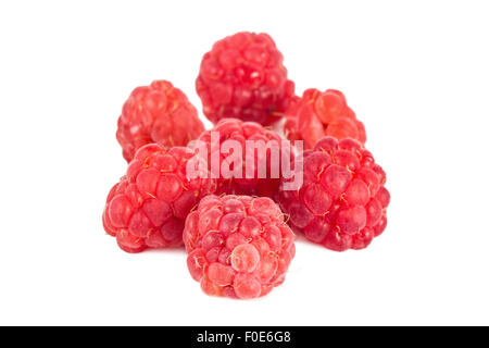 Nahaufnahme von einer kleinen Gruppe von reifen roten Himbeeren, isoliert auf weißem Hintergrund. Stockfoto