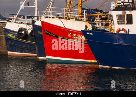 Die Bögen der vier Boote gefesselt neben in Mallaig, Lochaber, Schottland Stockfoto