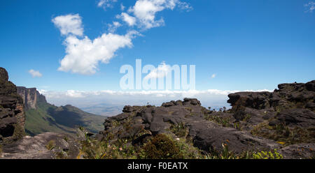 Panorama von der Spitze des Roraima Tepui mit blauer Himmel - Tafelberg - Dreiländereck, Venezuela, Guyana, Brasilien Stockfoto