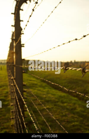 Stacheldraht Zaun in Auschwitz II-Birkenau KZ in Polen in der Nähe von Krakau. Stockfoto