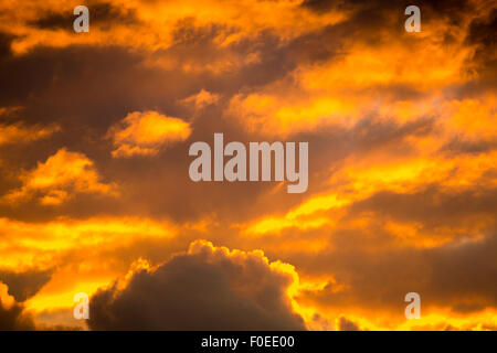 Dramatischen Sonnenuntergang wie Feuer in den Himmel mit goldenen Wolken in Danzig, Polen Stockfoto