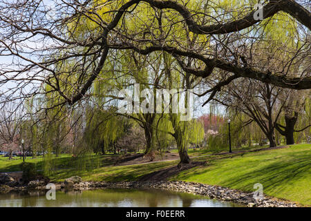 Heiteren Frühling Szene in einem vorstädtischen Park bekannt als Greenfield in der Nähe von Lancaster, PA. Stockfoto