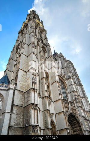 Blick auf den Turm der Kathedrale von Notre-Dame in Antwerpen, Belgien. Stockfoto