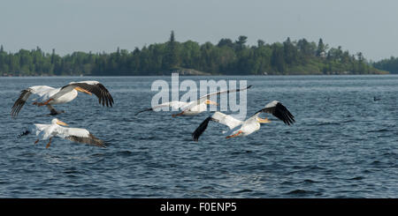 Lake Of The Woods, Ontario, Kanada Stockfoto