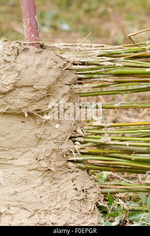 Flechtwerk und Lehm-Bauweise Stockfoto