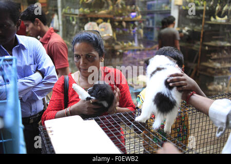 Mumbai, Maharashtra. 6. April 2014. 6. April 2014, Mumbai - India.Customers im Tier & Vogel Shop Crawford Market am Mumbai.Crawford Markt ist der größte in Mumbai und enthält dem letzten Hauch des britischen Bombay.The Crawford Market Häuser ein Großmarkt Obst, Gemüse und Geflügel. Ein Ende des Marktes ist eine Tierhandlung. In diesem Bereich finden Sie verschiedene Sorten von Hunden, Katzen und Vögel. Die meisten Verkäufer in den Markt eingeführten Gegenstände wie Nahrungsmittel, Kosmetik, Haushalt und Geschenkartikel zu verkaufen. Es war der größte Großhandelsmarkt für Früchte in Mumbai bis März 1996, wenn der Stockfoto