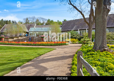 Der Eingang komplex und im Frühjahr Tulpen bei Harlow CarrGardens, Harrogate, North Yorkshire, England, UK Stockfoto