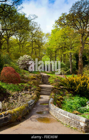 Blick auf die Doric Spalten in den Wäldern bei Harlow CarrGardens, Harrogate, North Yorkshire, England, UK Stockfoto