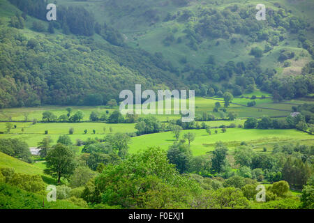 Borrowdale Valley, Lake District National Park, Cumbria, England, UK im Sommer Stockfoto