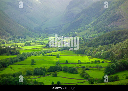 Borrowdale Valley, Lake District National Park, Cumbria, England, UK im Sommer Stockfoto