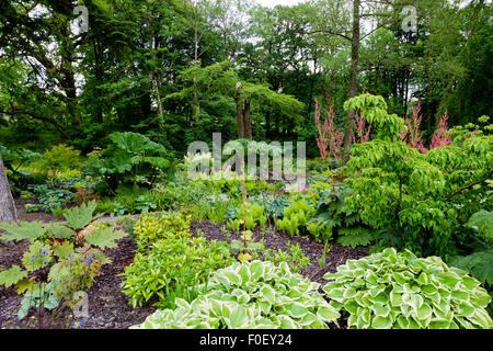 Der Wald Garten Aberglasney, Carmarthenshire, Wales, UK Stockfoto