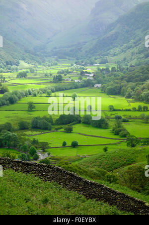 Borrowdale Valley, Lake District National Park, Cumbria, England, UK im Sommer Stockfoto