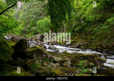 Afon Glaslyn fließt durch den Aberglaslyn-Pass in der Nähe von Beddgelert in Snowdonia-Nationalpark. Stockfoto