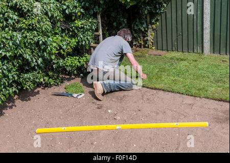 Ein Mann legt neue Garten Rasen Rasen in einem UK-Garten Stockfoto