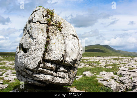 Einen großen nicht-erratischen Kalkstein Felsen auf Whernside, Yorkshire Dales National Park, England, UK Stockfoto