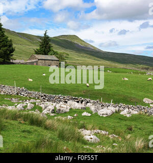 Eine Ansicht der Whernside von Ellerbeck Gill, Chapel-le-Dale, Yorkshire Dales National Park, England Stockfoto