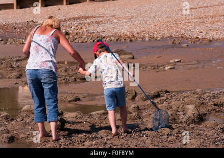 Rückansicht des Erwachsenen und Kind Rockpooling mit Fischernetzen Stockfoto