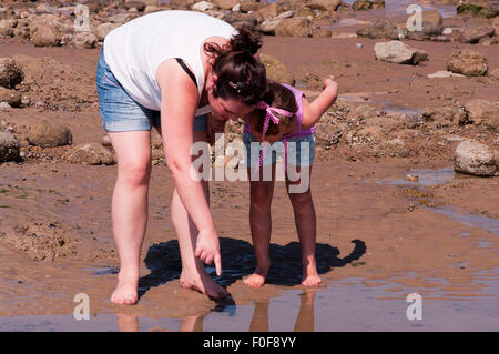 Mutter zeigt sich etwas zu ihrer Tochter in einem rockpool Stockfoto