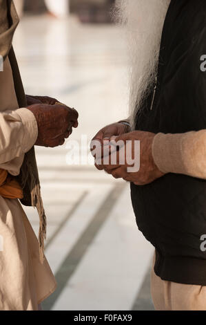 Amritsar, Punjab, Indien. Zwei alte Männer beten, verschränkt die Hände nahe beieinander liegen, eine mit einem langen Bart. Stockfoto