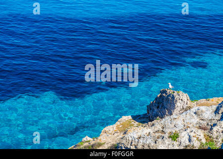 Möwe, ruht auf einem Felsen gegen blaue Wasser auf Favignana Insel in Sizilien, Italien Stockfoto