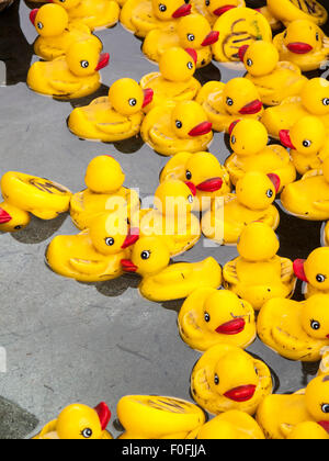 schwimmende Ente Spielzeug im Karneval Spiel Stockfoto