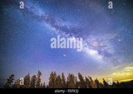 Hume Lake, Kalifornien, USA. 13. August 2015. Ein Meteor oder ein "Shooting Star" sichtbar während der Perseiden Meteorschauer Donnerstagabend gesehen vom Buck Rock Feuer Aussichtsturm in den Sequoia National Forest. Langzeitbelichtung Bild zeigt die Milchstraße und ein Meteor. © Stuart Palley/ZUMA Draht/Alamy Live-Nachrichten Stockfoto