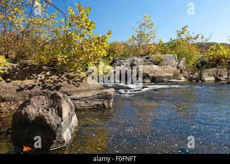 Potomac River im Herbst - Virginia, USA Stockfoto