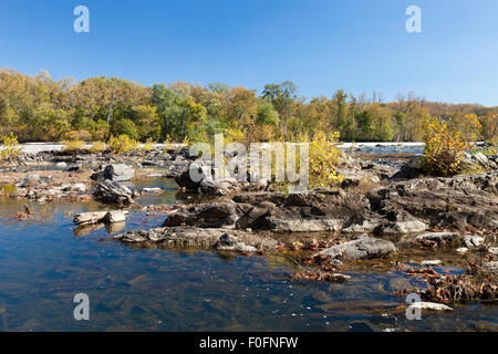 Potomac River im Herbst - Virginia, USA Stockfoto