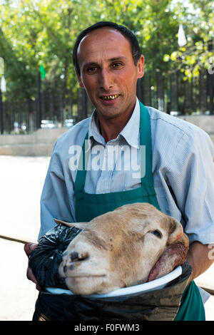 Schaf-Köpfe sind beliebt in Usbekistan. Stockfoto