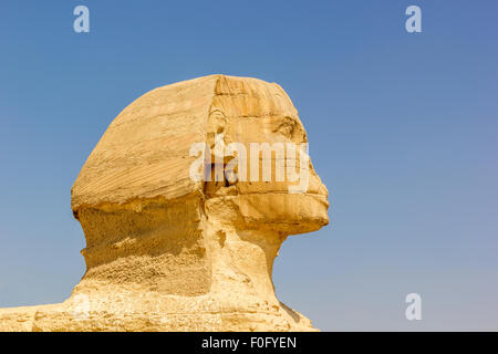 eine horizontale Ansicht eines Details der Sphinx von Gizeh, Ägypten Stockfoto