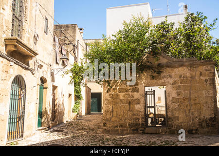 Peschici Apulien verlassenes Haus mit Bäumen durch Dach wächst Stockfoto