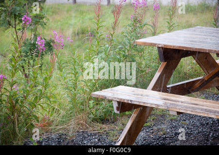 Regen auf Picknick-Tisch und rosa Weidenröschen Blumen in der Nähe von Östersund in Schweden an einem Sommertag. Stockfoto