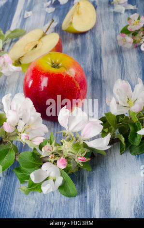 blühende Apfel Zweig und rote Äpfel auf a blaue Tabelle. Selektiven Fokus Stockfoto