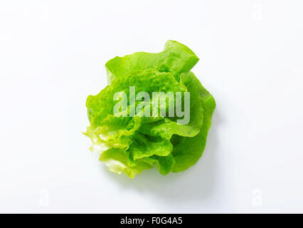 Kopfsalat - auch bekannt als Boston oder Bibb Salat Stockfoto