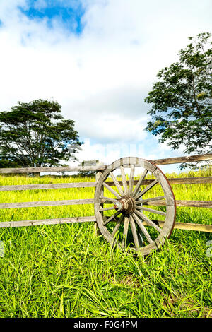 Eine lebendige, grüne Wiese hinter einem Zaun ranching und Wagenrad zeigt das üppige Wachstum in einem ländlichen Bauerndorf auf Kauai Stockfoto