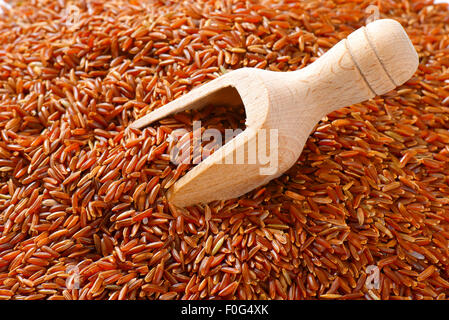 Camargue rote Reiskörner (Grown organisch in den Feuchtgebieten im Süden Frankreichs) Stockfoto