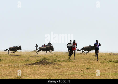 Masai Mara, Kenia. 15. August 2015. Profisportler laufen während des Masai Mara-Marathons in Masai Mara Game Reserve, Kenia, 15. August 2015. Kenia statt seiner 7. Masai-Mara-Marathon ist eine Veranstaltung für Gemeinwohl zur Förderung von Umweltschutz und lokale Bildung am Samstag im Masai Mara Game Reserve in Kenia. Bildnachweis: Sun Ruibo/Xinhua/Alamy Live-Nachrichten Stockfoto