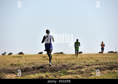 Masai Mara, Kenia. 15. August 2015. Profisportler laufen während des Masai Mara-Marathons in Masai Mara Game Reserve, Kenia, 15. August 2015. Kenia statt seiner 7. Masai-Mara-Marathon ist eine Veranstaltung für Gemeinwohl zur Förderung von Umweltschutz und lokale Bildung am Samstag im Masai Mara Game Reserve in Kenia. Bildnachweis: Sun Ruibo/Xinhua/Alamy Live-Nachrichten Stockfoto