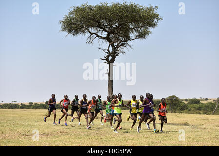 Masai Mara, Kenia. 15. August 2015. Profisportler laufen während des Masai Mara-Marathons in Masai Mara Game Reserve, Kenia, 15. August 2015. Kenia statt seiner 7. Masai-Mara-Marathon ist eine Veranstaltung für Gemeinwohl zur Förderung von Umweltschutz und lokale Bildung am Samstag im Masai Mara Game Reserve in Kenia. Bildnachweis: Sun Ruibo/Xinhua/Alamy Live-Nachrichten Stockfoto