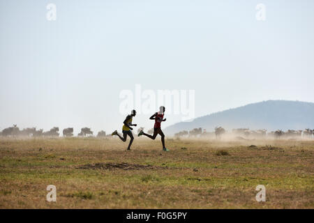 Masai Mara, Kenia. 15. August 2015. Profisportler laufen während des Masai Mara-Marathons in Masai Mara Game Reserve, Kenia, 15. August 2015. Kenia statt seiner 7. Masai-Mara-Marathon ist eine Veranstaltung für Gemeinwohl zur Förderung von Umweltschutz und lokale Bildung am Samstag im Masai Mara Game Reserve in Kenia. Bildnachweis: Sun Ruibo/Xinhua/Alamy Live-Nachrichten Stockfoto