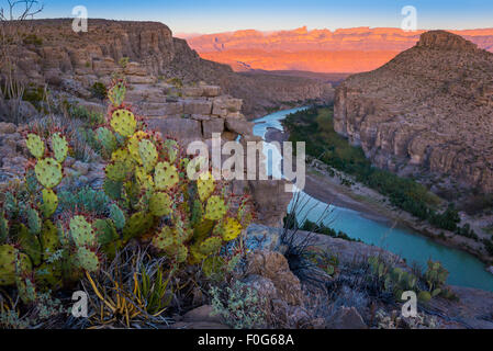 Big Bend National Park in Texas ist das größte Naturschutzgebiet der Chihuahua-Wüste der Vereinigten Staaten. Stockfoto