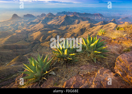 Big Bend National Park in Texas ist das größte Naturschutzgebiet der Chihuahua-Wüste der Vereinigten Staaten. Stockfoto