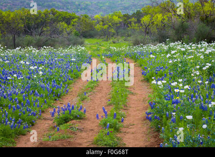 Texas Hill Country ist eine fünfundzwanzig Landkreis Region Zentral-Texas und Süd-Texas Stockfoto