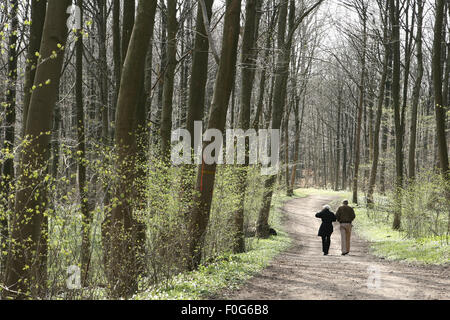 Mann und Frau in einem Wald Stockfoto