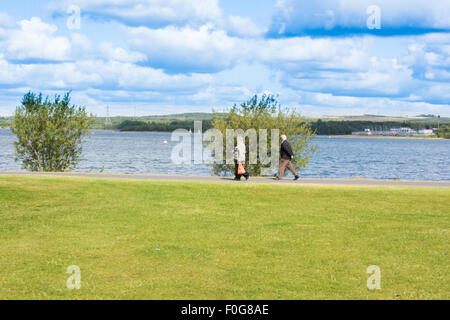 Chasewater Country Park Lichfield, Staffordshire, UK Stockfoto