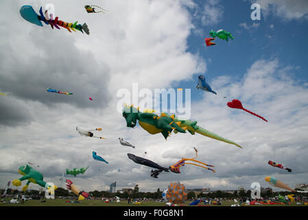 Portsmouth, UK. 15. August 2015. Southsea Common und der Himmel voller Drachen in allen Formen und Größen auf dem International Kite Festival. Bildnachweis: MeonStock/Alamy Live-Nachrichten Stockfoto