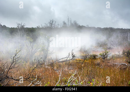 Natürlichen Dampf steigt aus vulkanischen Dampfdüsen in der Erde im Volcano National Park, Kilauea, Hawaii. Stockfoto