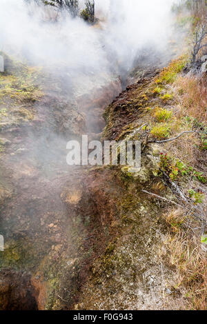 Natürlichen Dampf steigt aus vulkanischen Dampfdüsen in der Erde im Volcano National Park, Kilauea Hawaii.S Stockfoto