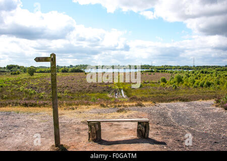 Chasewater Country Park Lichfield, Staffordshire, UK Stockfoto